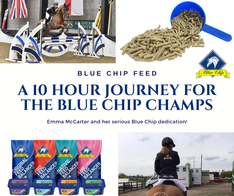 A 10 hour trip to your favourite show The Blue Chip Champs Blue