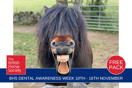 🦷 BHS Dental Awareness Week - 10th to 16th November