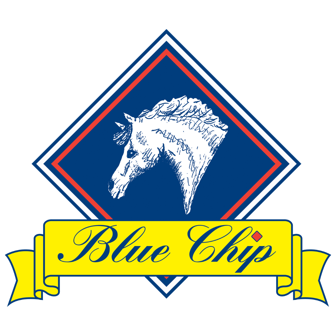 2021 Blue Chip Winter Show Jumping Championships Cancelled Blue