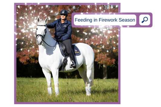 Top tips for a calmer horse - fireworks