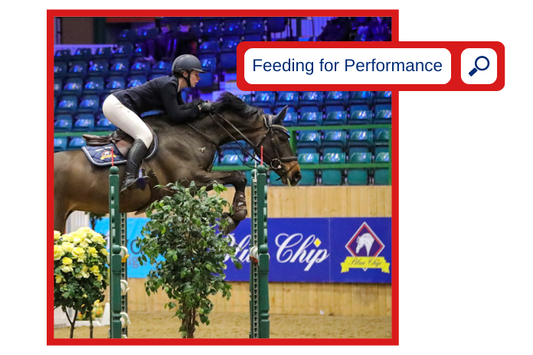Feeding horses for Performance