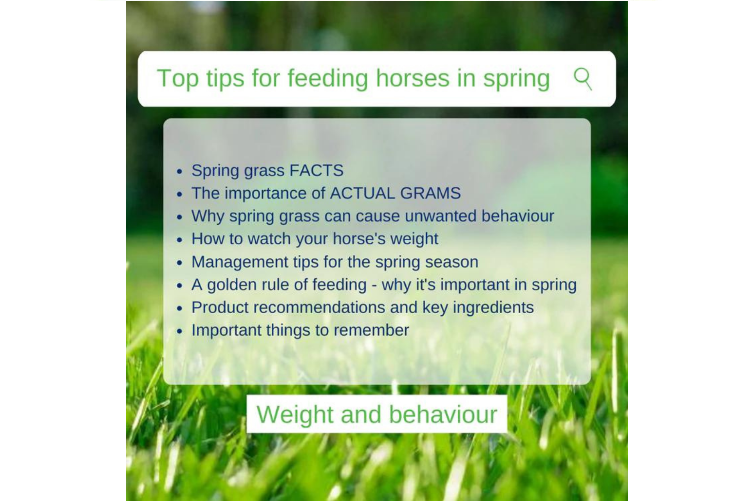 Illustration of Grass Eating Digestive Health Issues