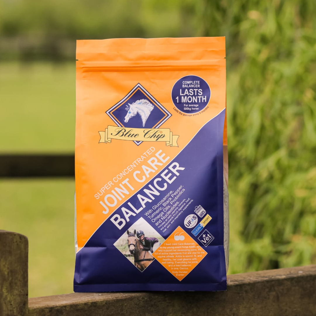 Joint Care Super Concentrated Feed Balancer - For daily joint support