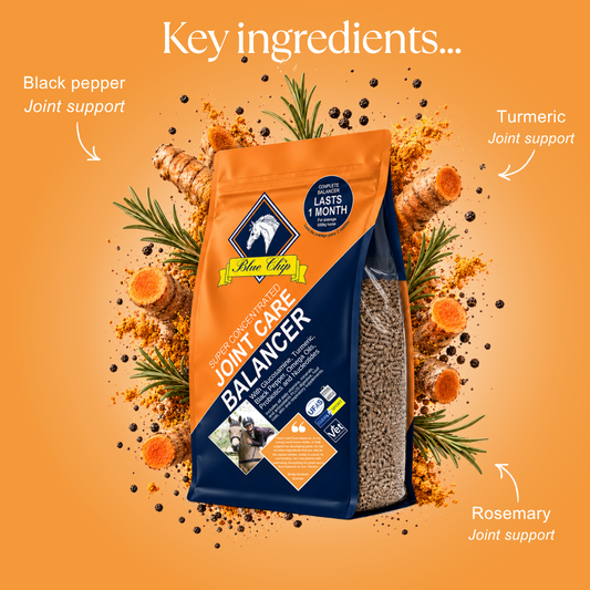 Joint Care Super Concentrated Feed Balancer
