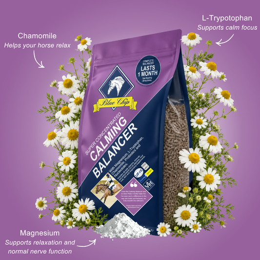 Calming Super Concentrated Feed Balancer