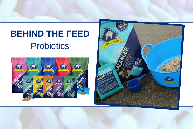Behind the feed - Probiotics