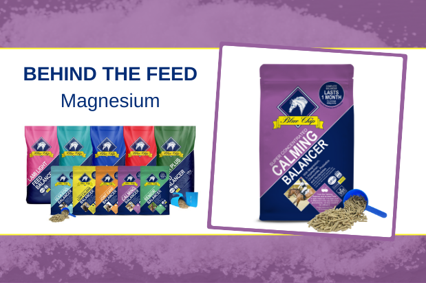 Behind the feed - Magnesium (Calming)