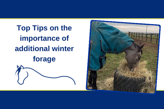 Top Tips on the importance of additional winter forage