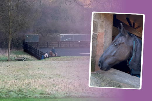 How to prepare your horse for exercise in cold weather
