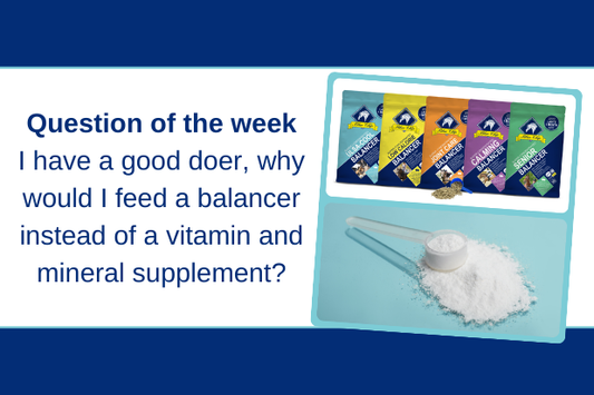 "I have a good doer - Feed balancer or vitamin and mineral supplement?"