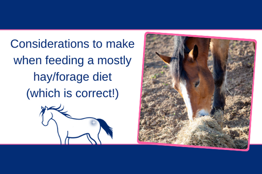 My horse is on a mostly hay diet over the winter, what else should I consider?