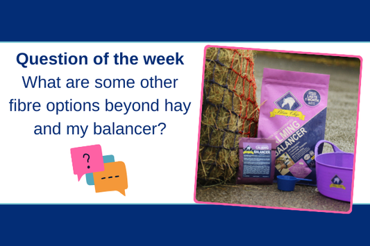 Other fibre options beyond hay and balancer
