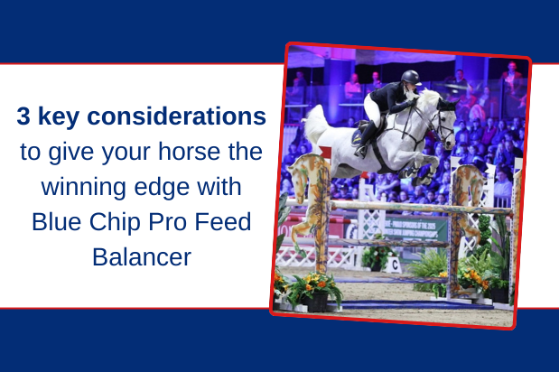 Give your horse the winning edge with Blue Chip Pro