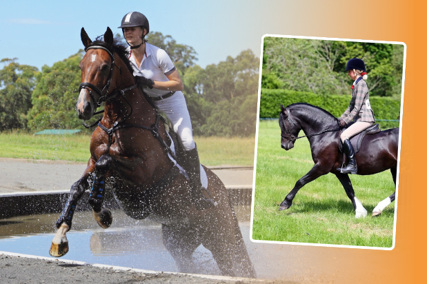 Hard ground and horses - Expert tips, helping your horse cope
