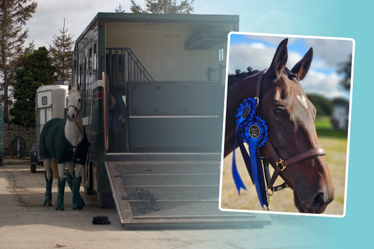 Top Tips for travelling horses - BONUS video content!