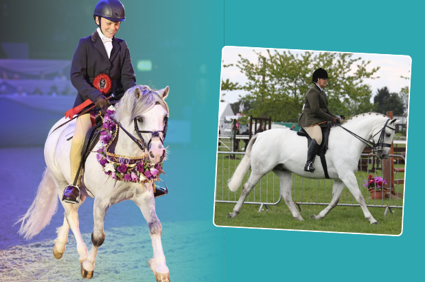 Secrets to Show Ring Success