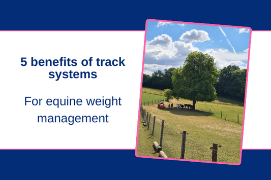 5 benefits of track systems