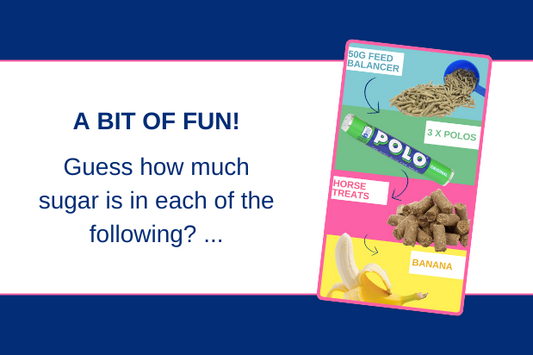 How much sugar in each of the following? ...