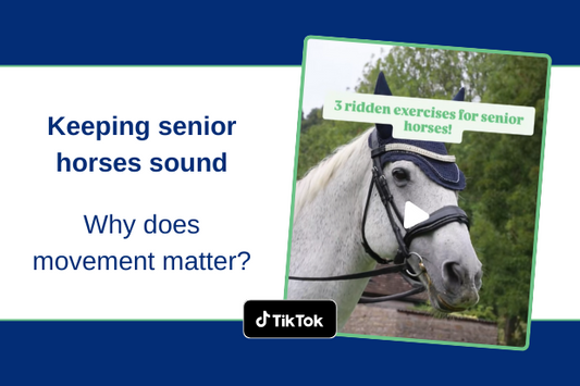 Keeping senior horses sound - ridden exercise