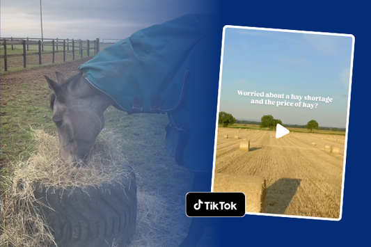 Top tips for horse owners during a hay shortage