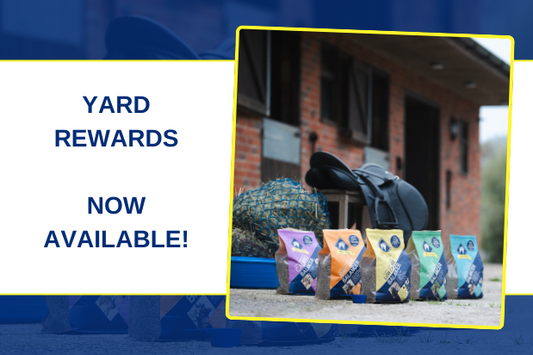 NEW - Blue Chip Yard Rewards