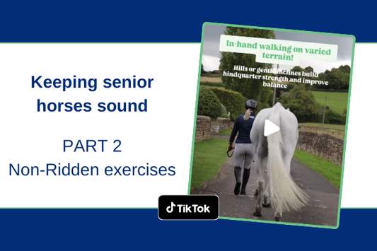 Keeping senior horses sound - non ridden exercise