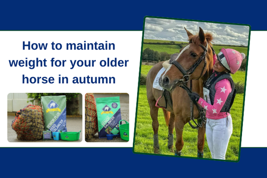 Maintaining weight in autumn for older horses