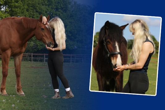 5 benefits of hand feeding a balancer