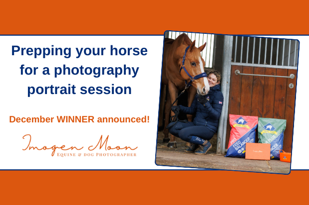 Prepping your horse for a photography session