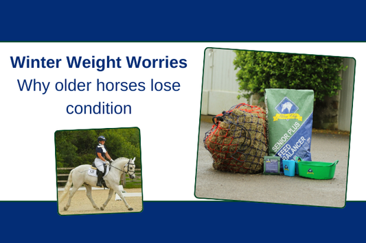 Winter Weight Worries - Why older horses lose condition
