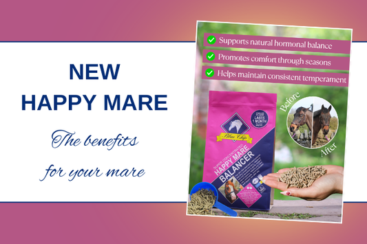 Happy Mare - yes please!