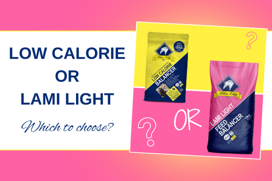 Low Calorie or Lami Light?