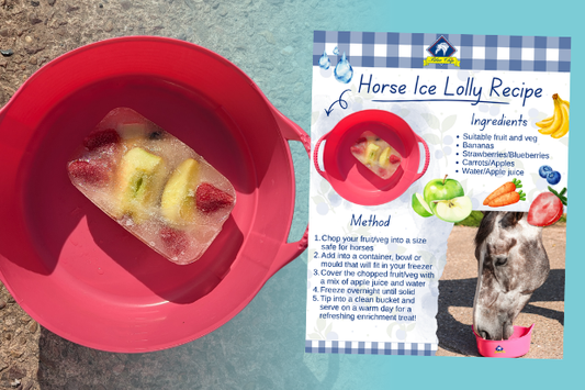 Beat the heat - DIY ice lollies for your horse