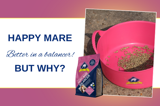 Happy Mare - Better in a balancer!