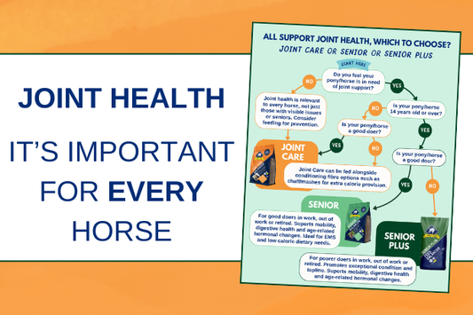 Joint support for horses