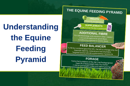 Understanding the Equine Feeding Pyramid