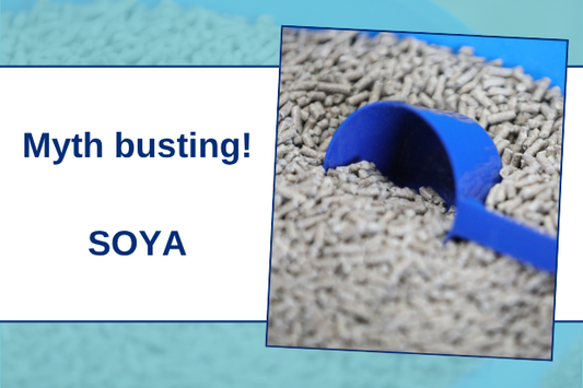 Myth busting! SOYA