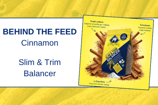 Behind the feed Cinnamon (Slim & Trim)