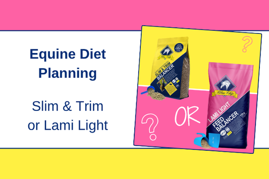 Equine diet planning