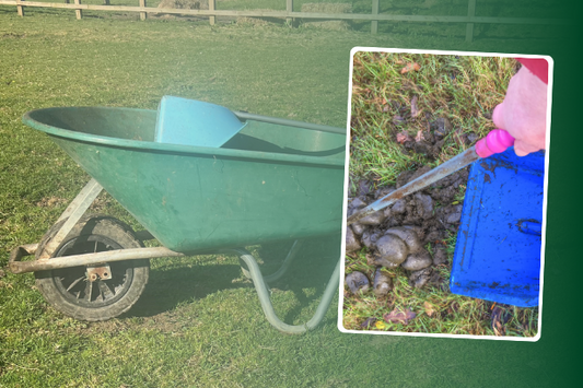 Poo pick like a pro - Top Tips