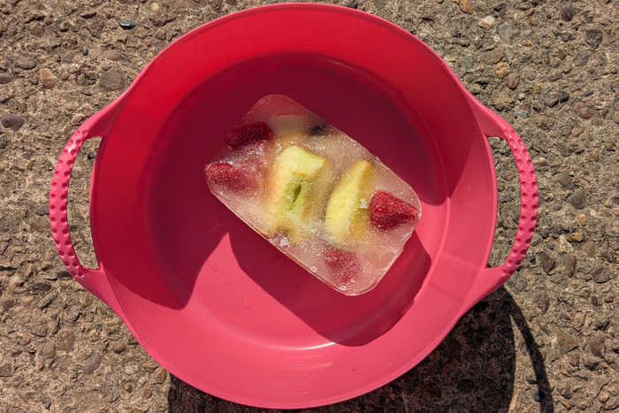 Beat the heat - DIY ice lollies for your horse