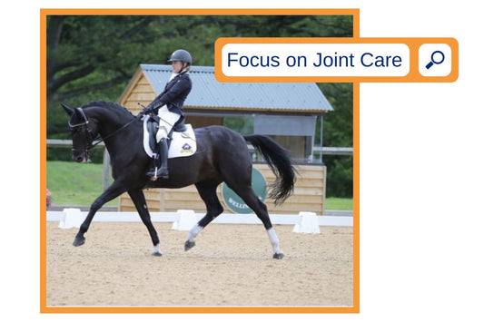 Focus on Joint Care