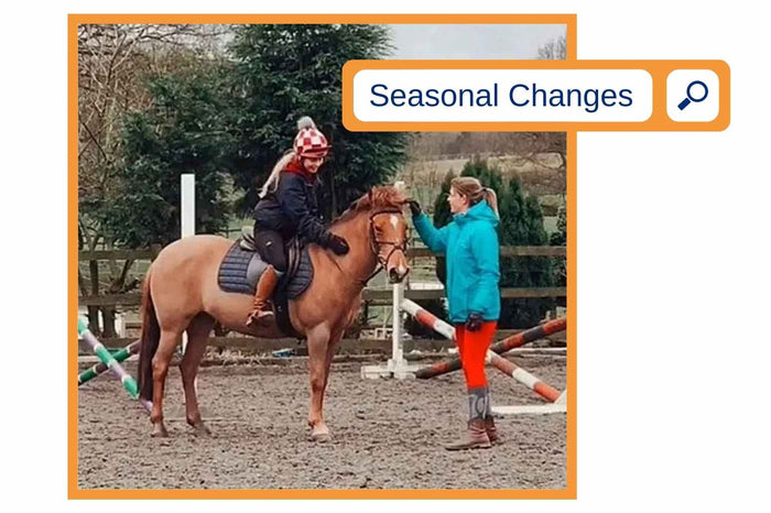 Seasonal Changes Autumn to Winter