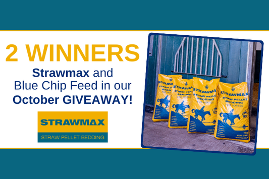 WIN with Bedmax and Blue Chip - October GIVEAWAY!