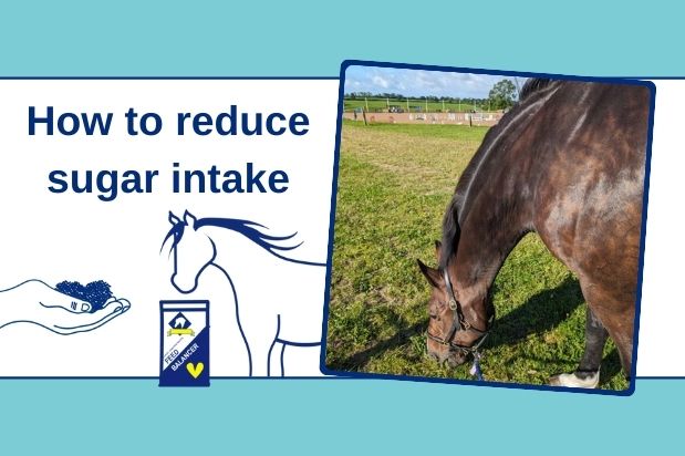 How to Reduce Sugar Intake and Calories