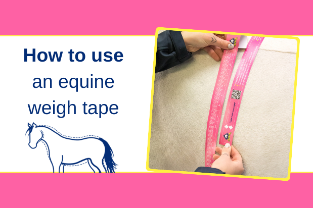 How to use an equine weigh tape