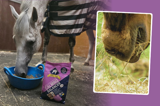 Cutting the cost of winter horse care