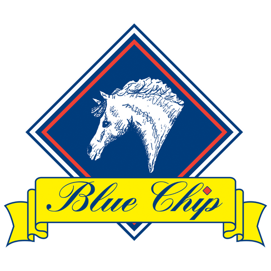 2021 Blue Chip Winter Show Jumping Championships - Cancelled