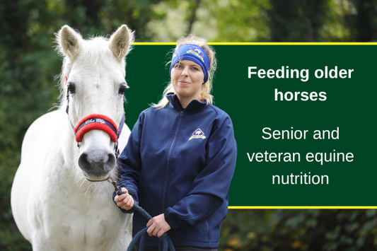 Feeding older horses - Senior and veteran equine nutrition