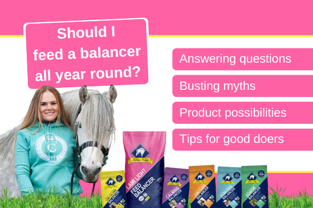 Should I feed a balancer all year round?